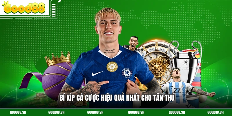 Bí kíp cá cược hiệu quả nhất cho tân thủ