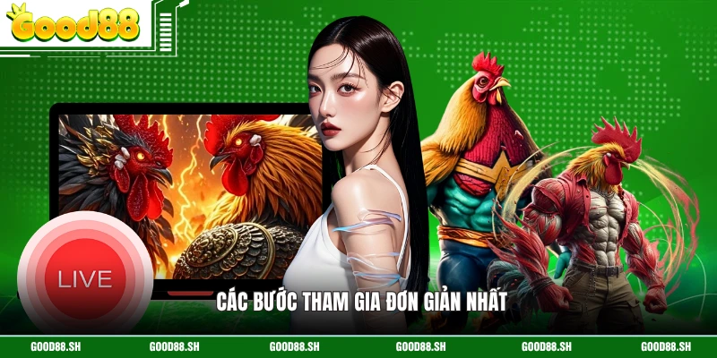Các bước tham gia đơn giản nhất