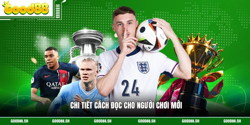 Chi tiết cách đọc cho người chơi mới