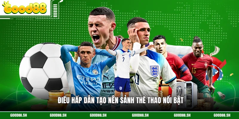 Điều hấp dẫn tạo nên sảnh thể thao nổi bật 