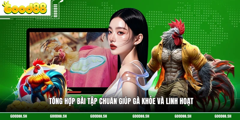 Tổng hợp bài tập chuẩn giúp gà khỏe và linh hoạt
